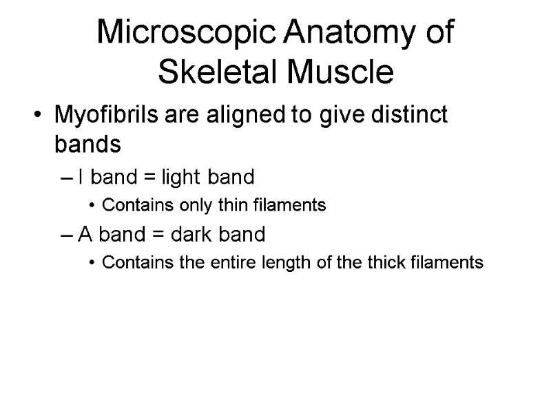 Microscopic Anatomy of Skeletal Muscle Myofibrils are aligned to give distinct bands I band